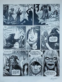 Mohamed Aouamri - Vigrid et Shaniah - Planche originale