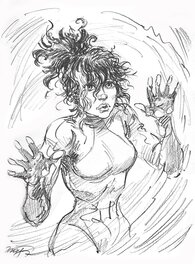 Hans - Mahonia -  extrait du carnet de croquis de Kas, Page 53