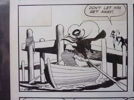 White indian White indian