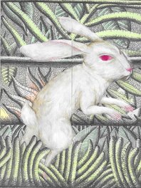 Ana Juan - Rabbit - Original Illustration