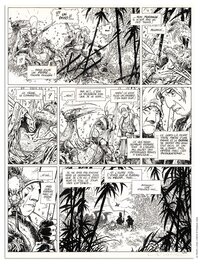 Dominique Lidwine - La quète de l'oiseau du temps , Dominique Lidwine - Comic Strip