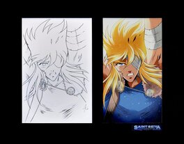 Chevaliers Zodiaque - Hyoga