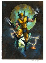 Wolverine