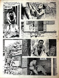 Claude Auclair - Le Sang du Flambayant  pl. 22 - Planche originale