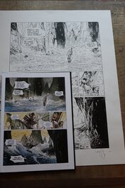 5 5