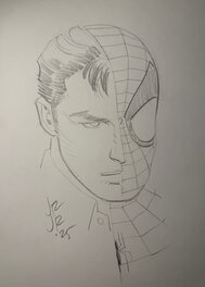 John Romita Jr. - Spiderman - Original Illustration