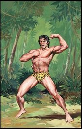 Dino Busett - TARZAN  -  Dino BUSETT - Couverture originale