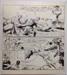 Fergal (Gallieno Ferri - Atelier Chott) Kid Colorado Planche Originale 15 Cow Boy Puma ,petit format RANCHO SPECIAL 13 Bd 1958