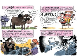 Simon Mitteault - Mayotte (animaux) - Comic Strip