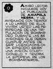 Amapola Negra Amapola Negra