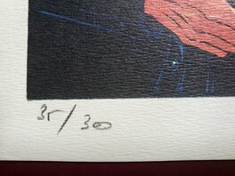 Numéroté : 35/300 Numéroté : 35/300