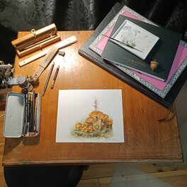 Jean-Baptiste Monge - Le Pixie des champignons Jean-Baptiste Monge - Le Pixie des champignons