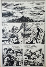 Vittorio Cossio - IL DRAMMA  DELLO SPARVIERO - Planche originale