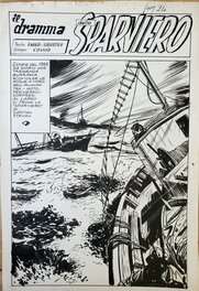Vittorio Cossio - IL DRAMMA DELLO SPARVIERO - Planche originale
