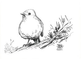 Jocelyn Joret - Jocelyn Joret - illustration oiseau Robin - Original Illustration