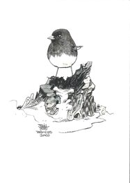 Jocelyn Joret - Jocelyn Joret - illustration Oiseau Junko - Original Illustration