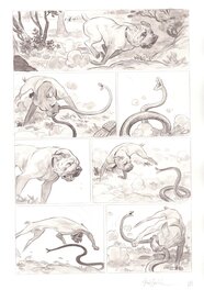 Federico Bertolucci - Le Molosse - Planche originale