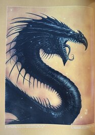 Dragon Dragon