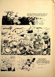 unknown - Zipperpumpf - Planche originale