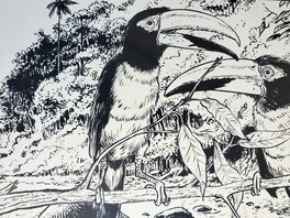 Détail Détail