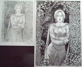 Comparaison de la version crayonnée et de la version encrée