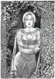 Mohamed Aouamri - Saga Valta - T02 - Edition luxe - Couverture encrée - Comic Strip