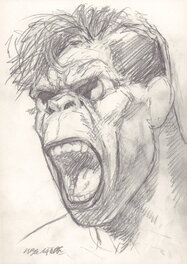 Tanino Liberatore - Portrait RanXerox - K - Illustration originale