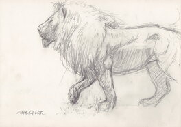 Liberatore - Le lion - Original Illustration