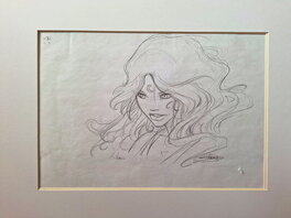 Stéphane Bileau - Crayonné d'une case de La quête du Graal tome 5 - Illustration originale