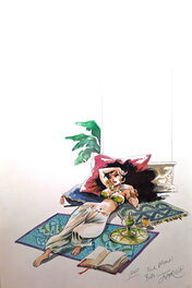 Jaap De Boer - Couverture du tarot l'oracle interdit de Shaerazade - Couverture originale