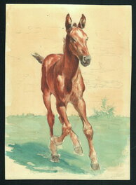 Paul Cuvelier - Poulain - Original Illustration