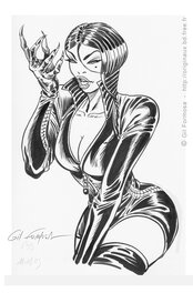 Gil Formosa - Robur - T2 P33 - Comic Strip
