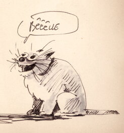Détail chat