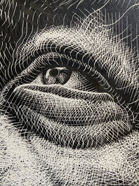 Eye detail Eye detail
