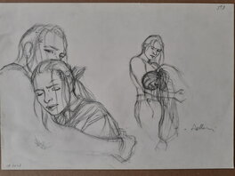 Patrice Pellerin - L'epervier et Agnès - Original art