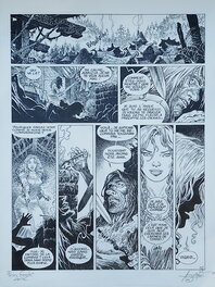 Mohamed Aouamri - Aaricia et Vigrid - Planche originale
