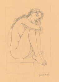 André Juillard - Clara  «  Après la pluie » - Original art