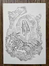Bruno Maïorana - Garulfo - la princesse - Original Illustration