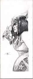 David COCHARD - WONDER WOMAN - Original Illustration