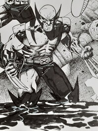 Wolverine Wolverine