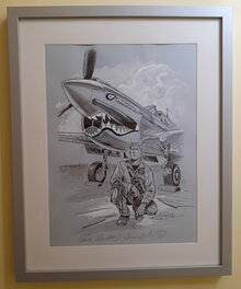 Buck Danny accroché
