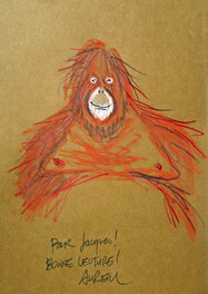 Singes : Quel genre d'animaux sommes-nous ?