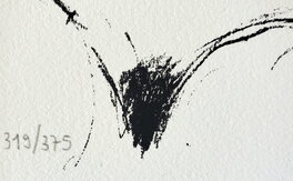 319/375 319/375