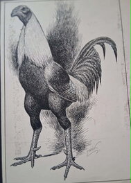 Malik - Le coq Wallon + other drawing on the back scene Archie Cash - Illustration originale