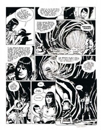 Julio Ribera - Le vagabond des limbes. Le Labyrinthe Virginal - Comic Strip