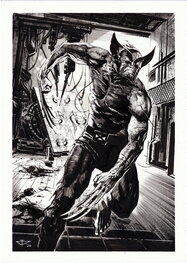 Dragan Paunovic - Wolverine - Illustration originale