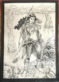 Giulio De Vita - Kriss de Valnor - Illustration originale