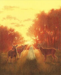 Florian Pigé - Nuit Blanche - Page titre - Original Illustration