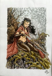 Giulio De Vita - Kriss de Valnor - Original Illustration