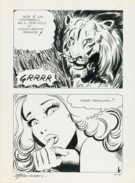 Birago Balzano - Zora T84 - Comic Strip